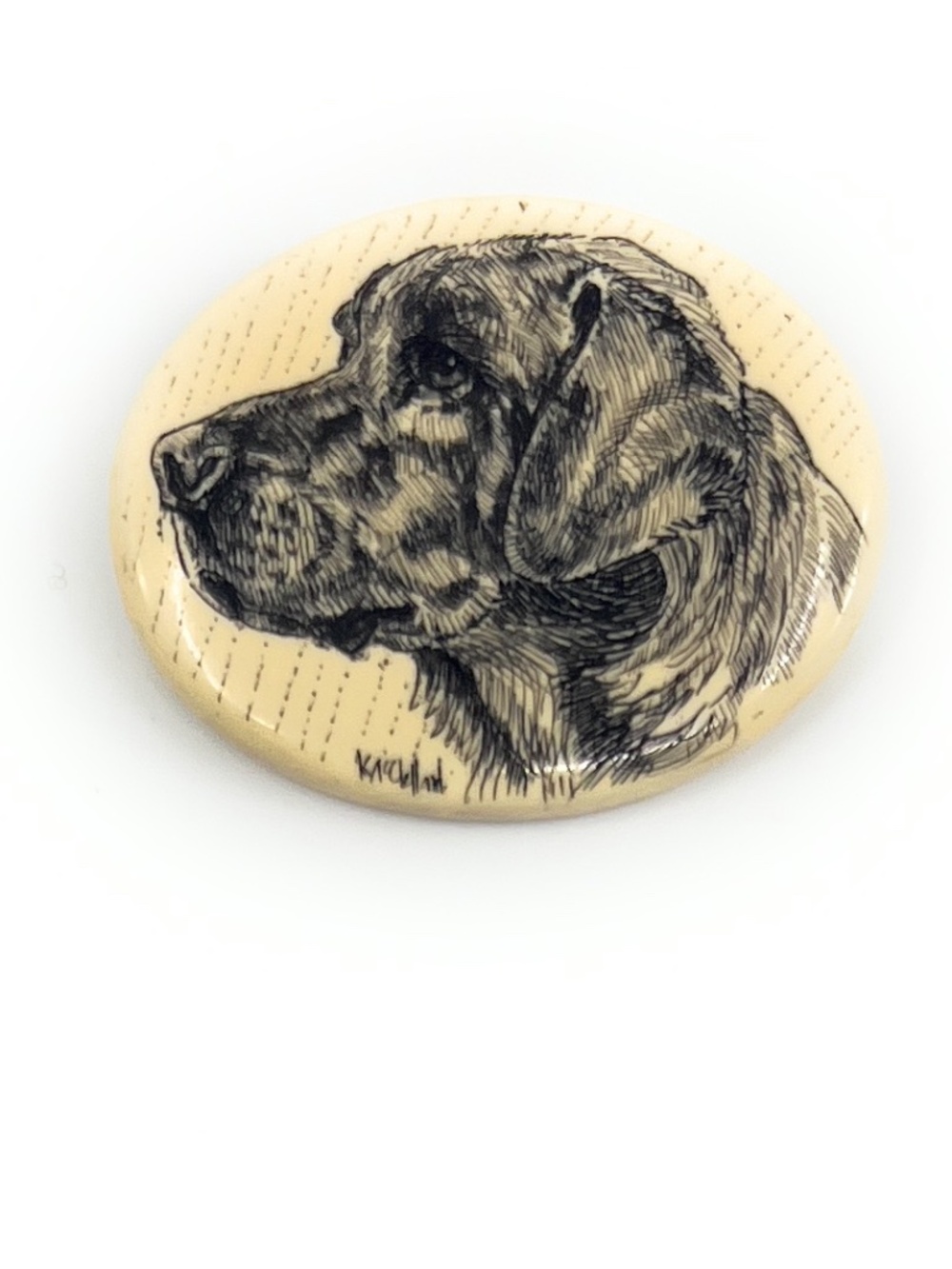 Yellow Lab Labrador Dog Pin Brooch Necklace Kim McClelland Scrimshaw Resin NEW